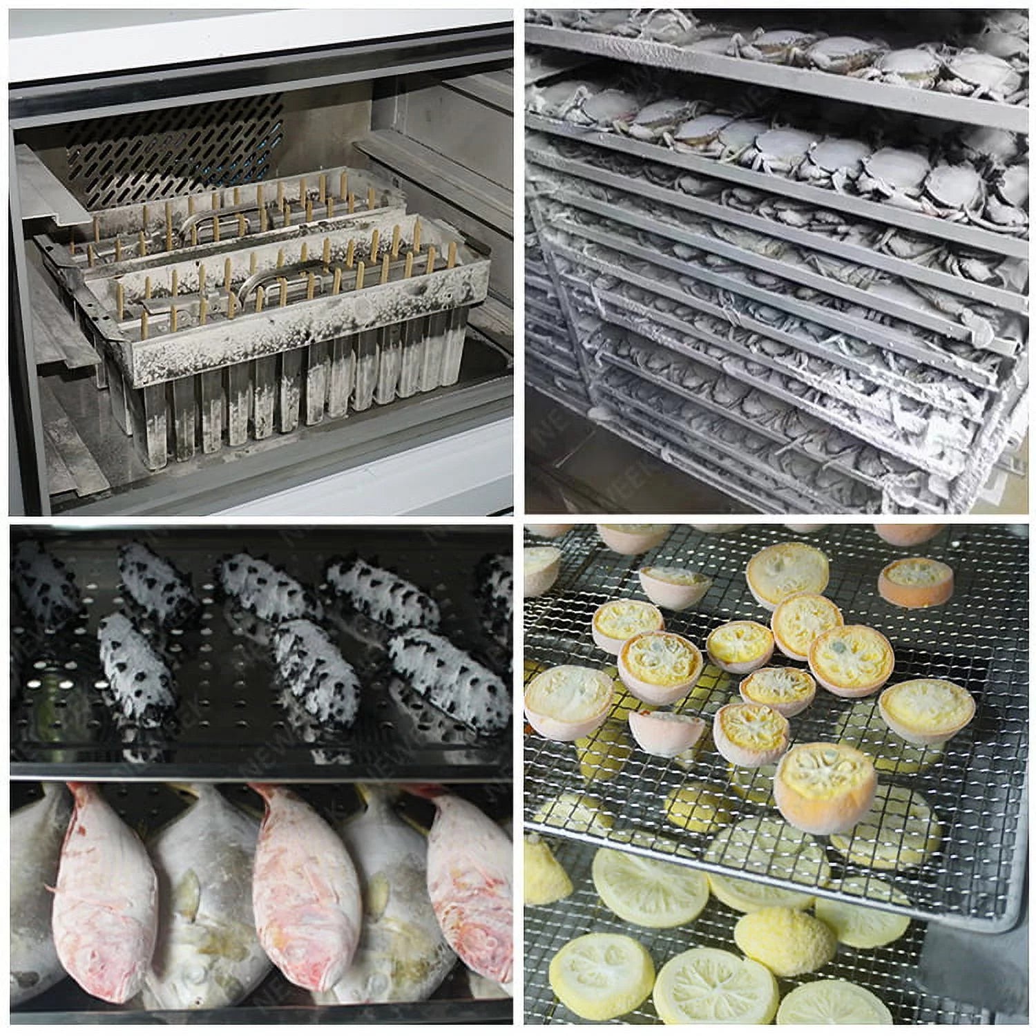 Commercial 3-Tray Blast Chiller & Freezer for Ice Cream, Chicken, Fish, Dessert O885129