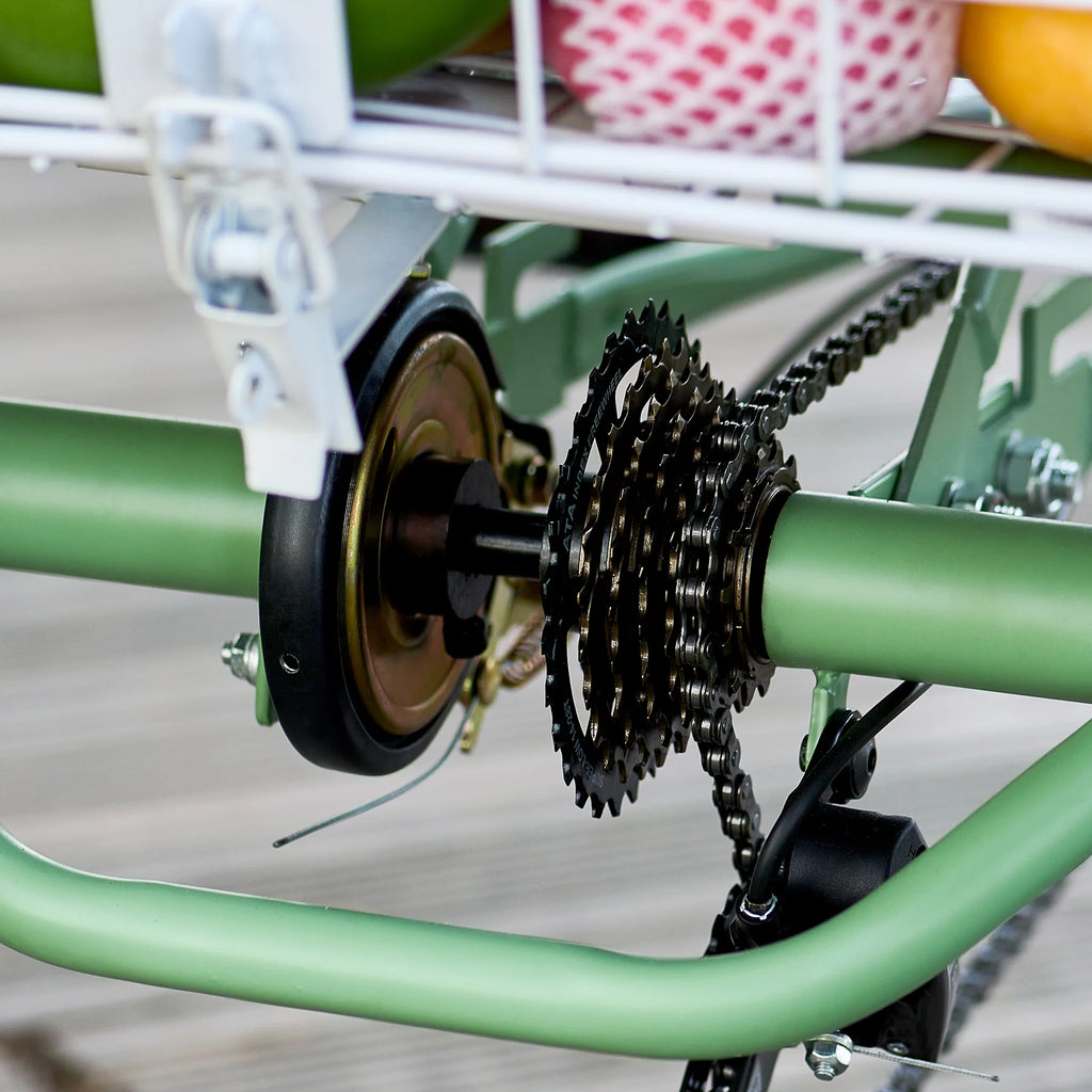 Adult Tricycle 26 Inch 7-Speed with Front and Rear Basket E2205