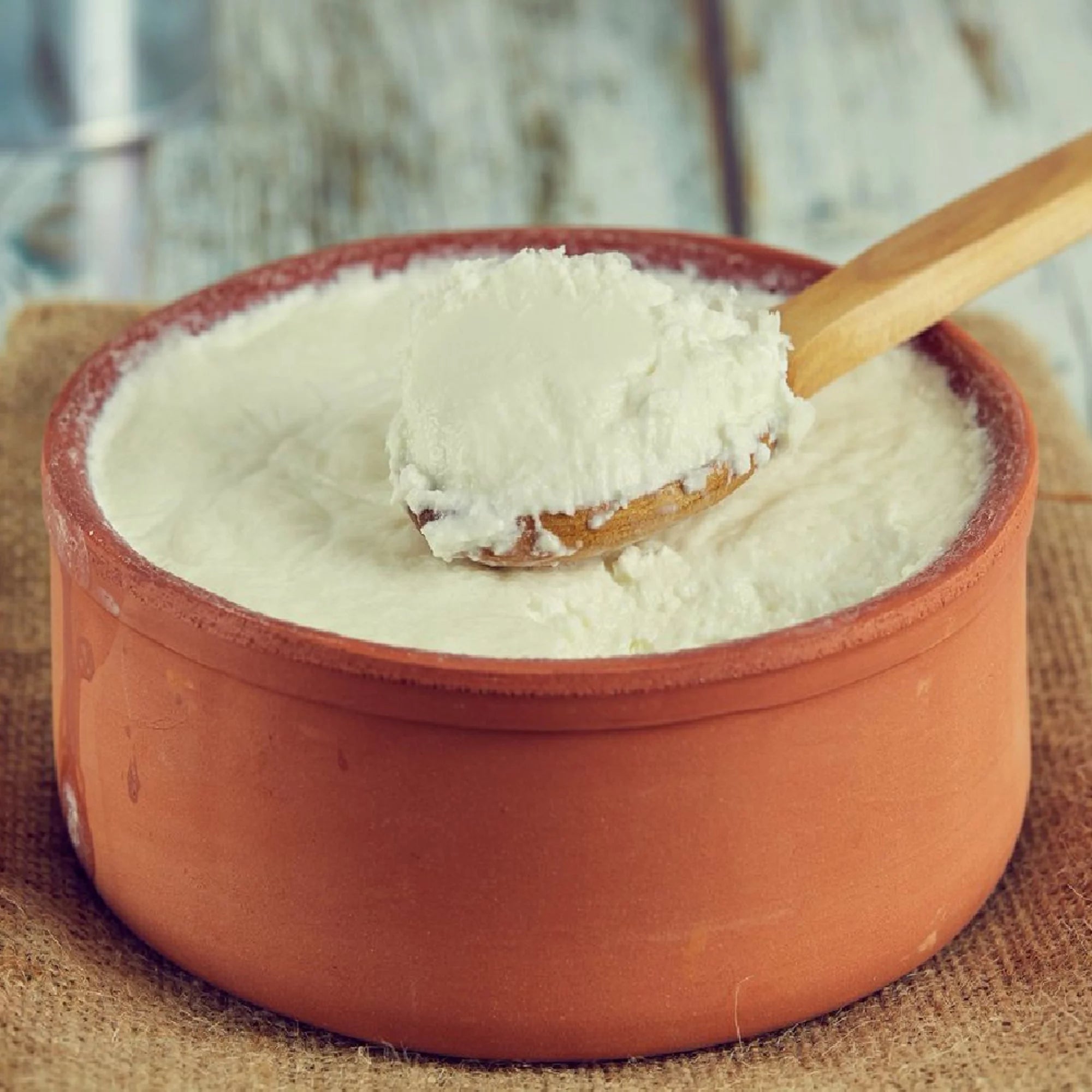 Glazed Terracotta Yogurt Pot, 2.5 qt P215860