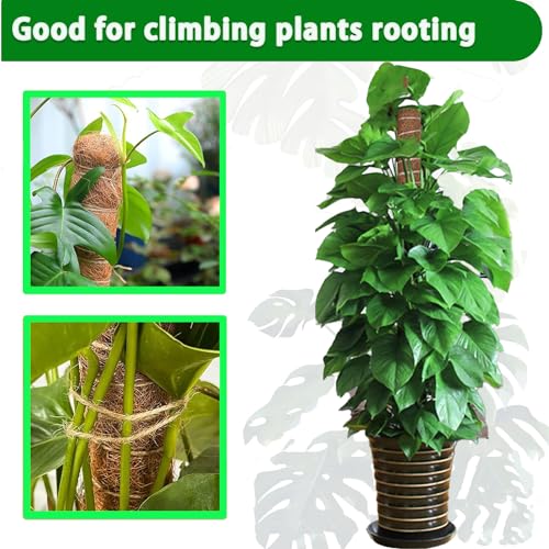 Moss Pole for Climbing Plants, 2 Pack 17 Inch, Indoor Plant Support Stakes W995559