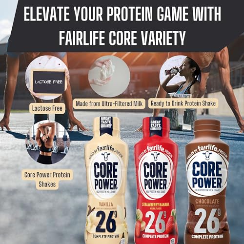 Protein Shakes for Workout Recovery, Chocolate, 14 Fl Oz (Pack of 12) with Key Chain Y4227