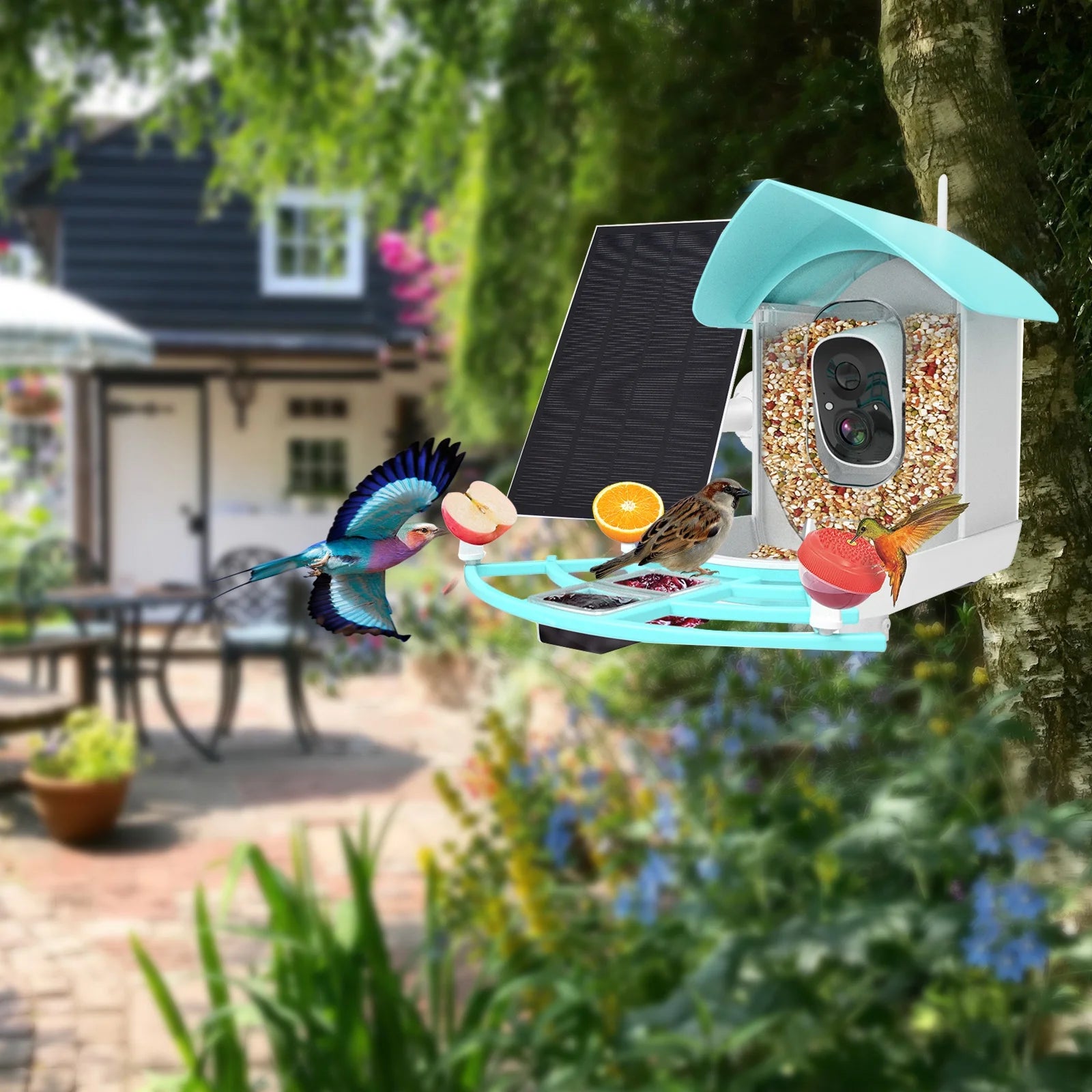 Smart Bird Feeder with Camera, Solar Powered, AI Bird Recognition O61781