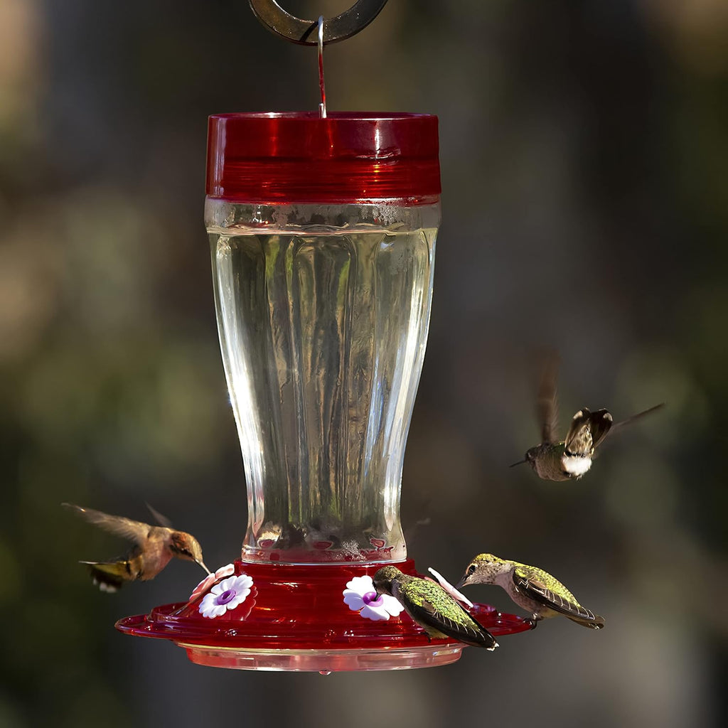 Glass Hummingbird Feeder for Outdoors, 40 oz, 5 Feeding Stations I245665
