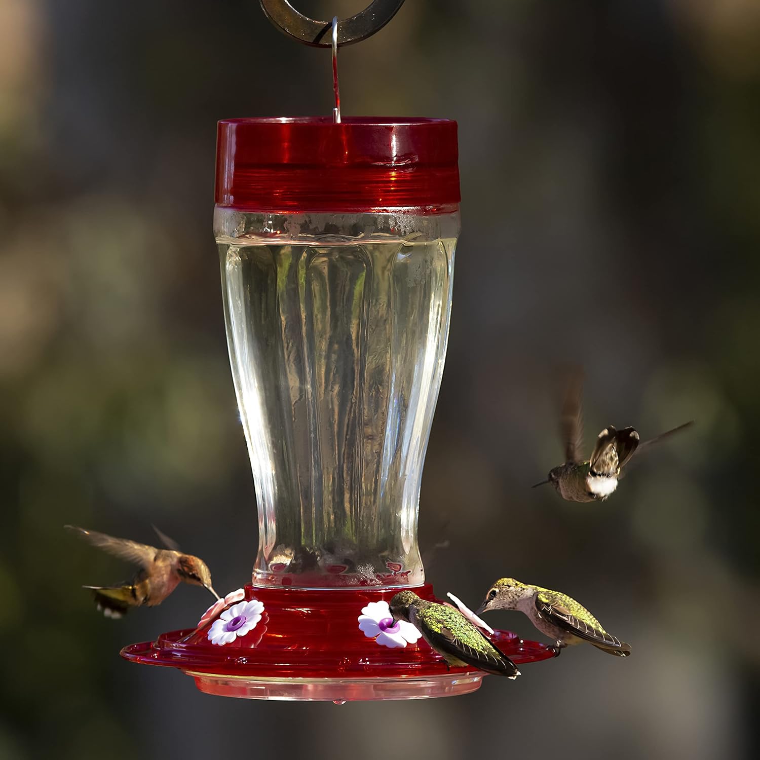 Glass Hummingbird Feeder for Outdoors, 40 oz, 5 Feeding Stations I245665