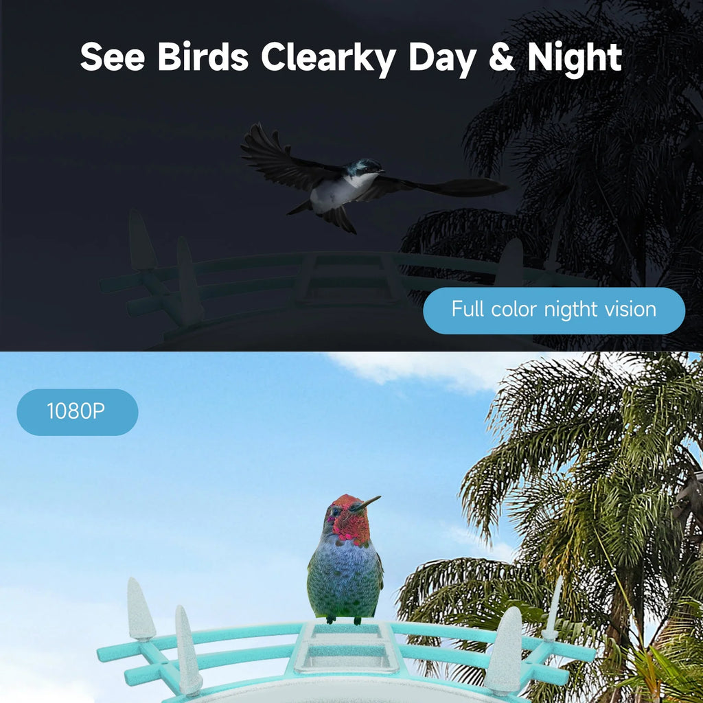Smart Bird Feeder with Camera, Solar Powered, AI Bird Recognition O61781