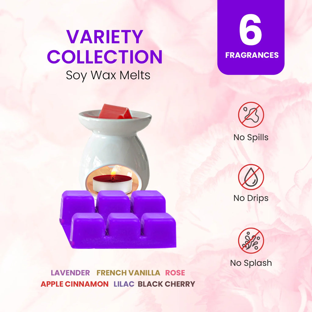 Scented Wax Melts Variety Collection I2432