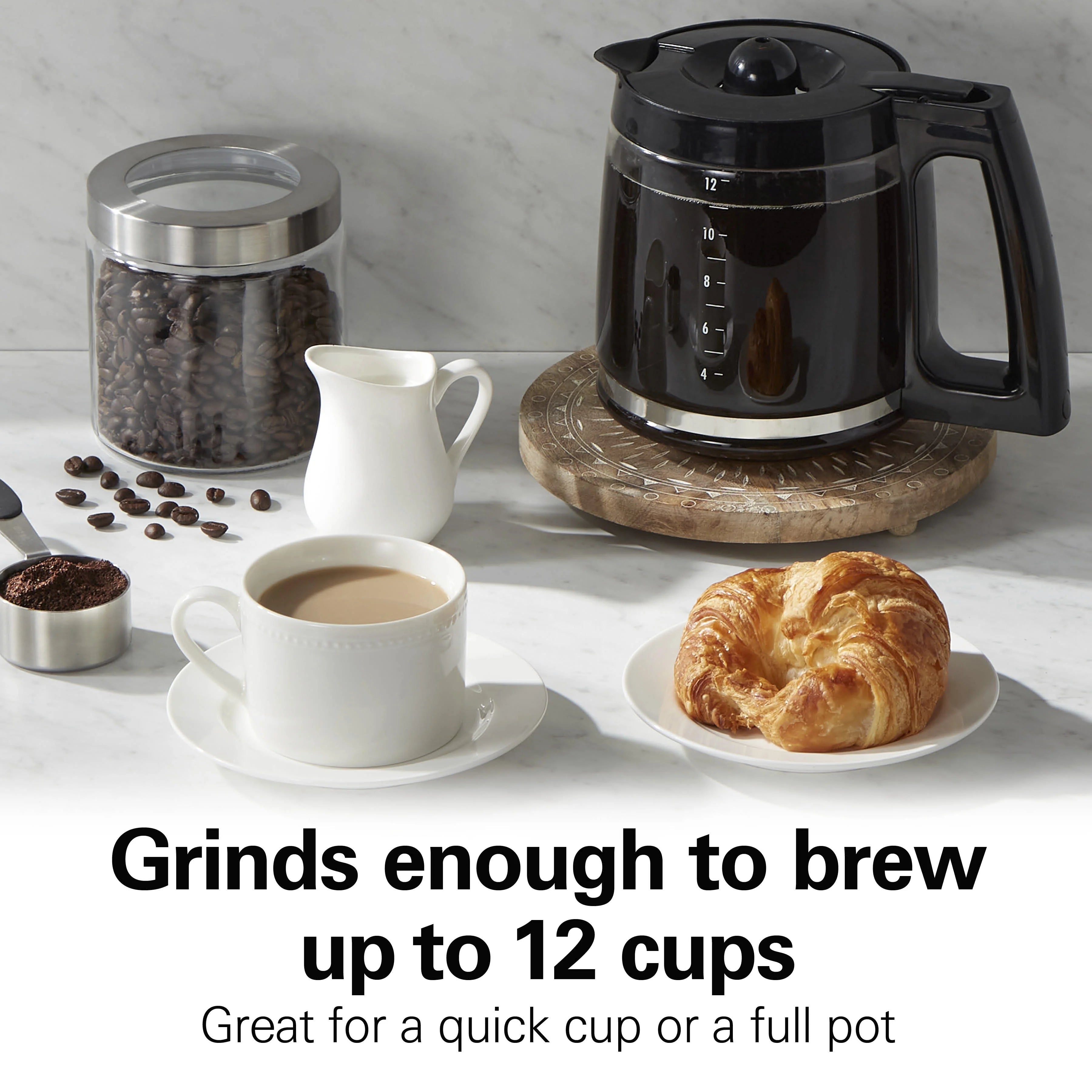Coffee and Spice Grinder, White with Gray Accents L5821