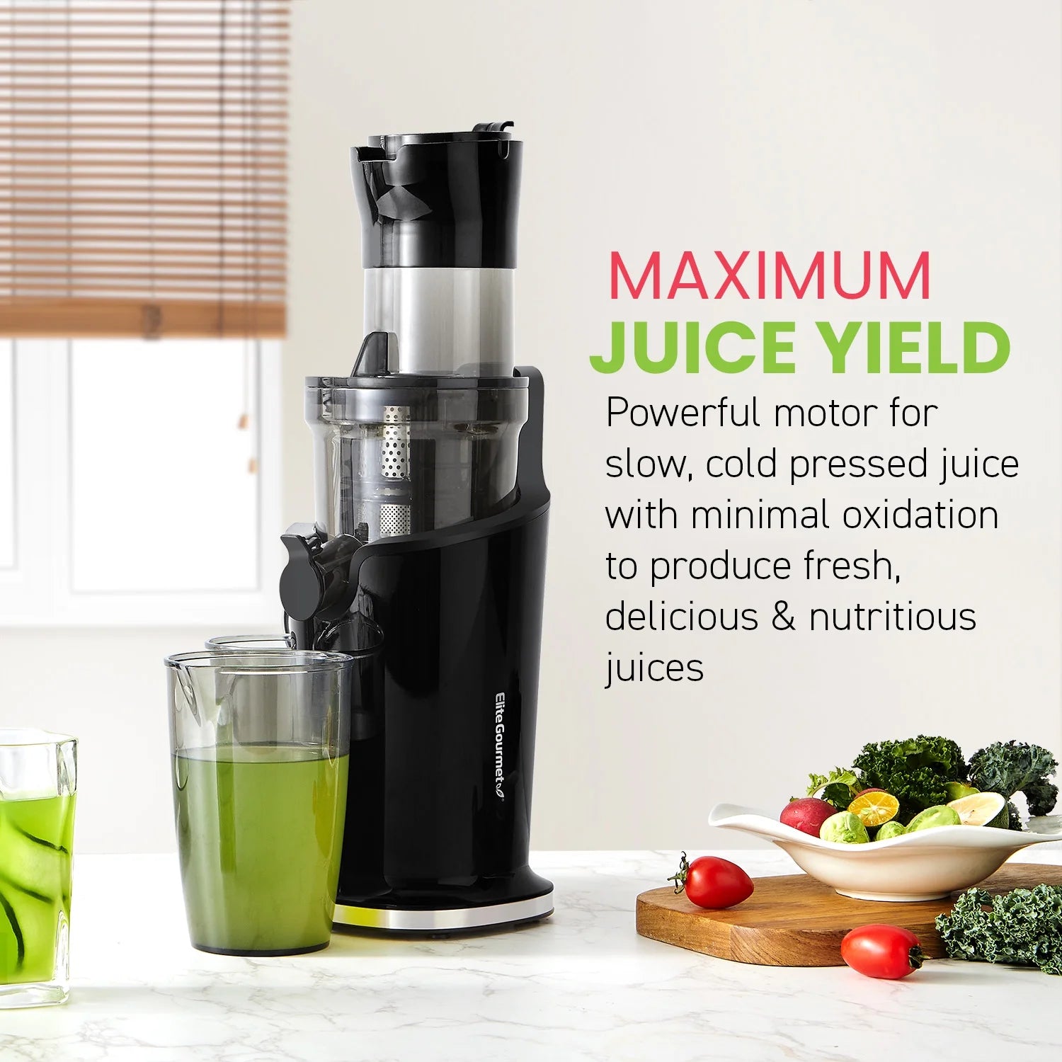 Slow Juicer 27oz M582623