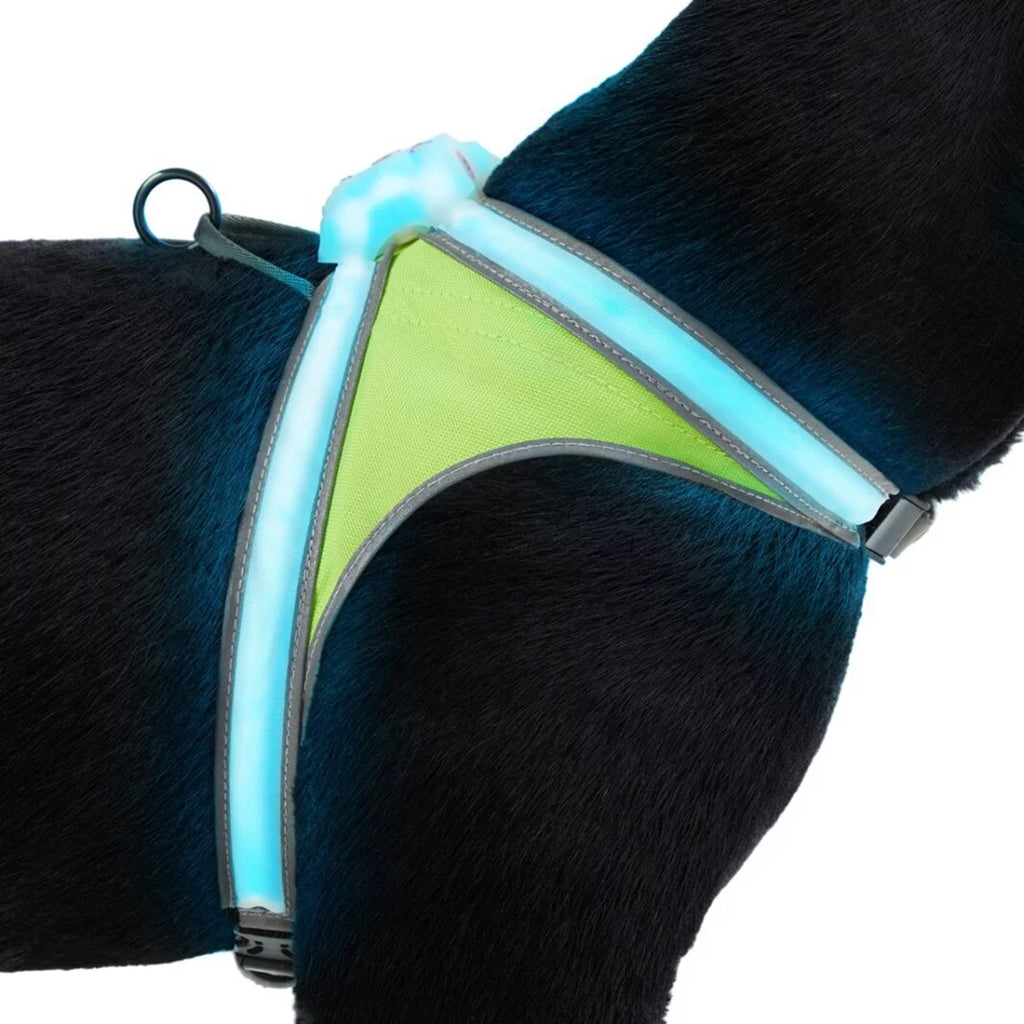 Reflective LED Dog Harness - XL M508