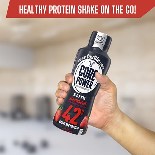 High Protein Chocolate Milk Shake, 14 Fl Oz (Pack of 12) with Key Chain R128