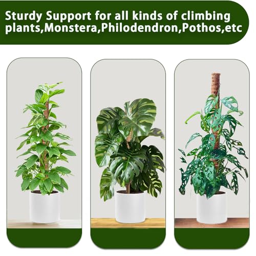 Moss Pole for Climbing Plants, 2 Pack 17 Inch, Indoor Plant Support Stakes W995559