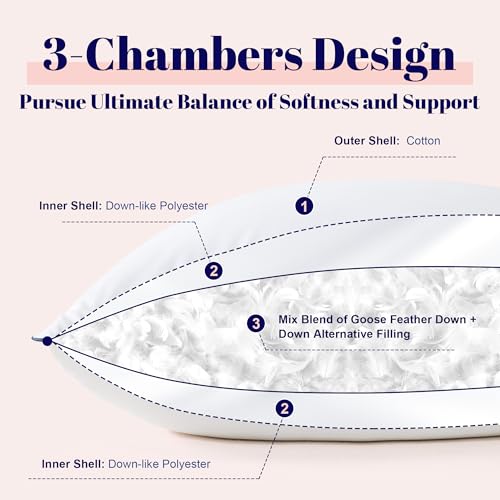 Goose Feather and Down Bed Pillow, King Size, 2 Pack O139