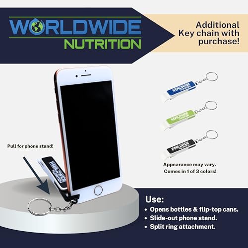 Protein Shakes for Workout Recovery, Chocolate, 14 Fl Oz (Pack of 12) with Key Chain Y4227