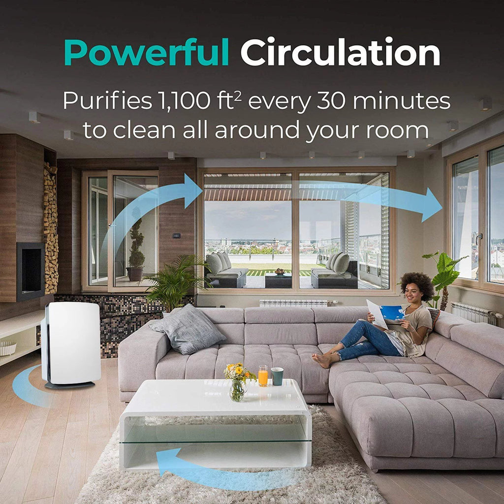 Air Purifier with True HEPA Filter for Allergens, Dust, Mold, Germs and Odors E116