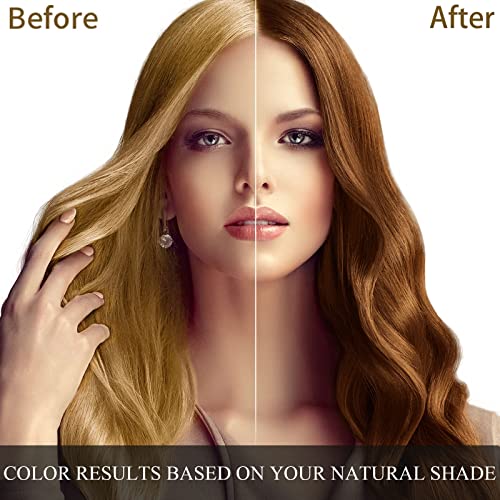 Dark Brown Hair Dye Shampoo 3 in 1 for Grey Hair, Herbal Natural Plant Color, 500ML Q435223