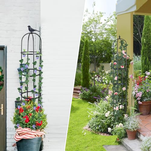 Garden Obelisk Trellis for Climbing Plants, 6ft, Indoor and Outdoor Y75654