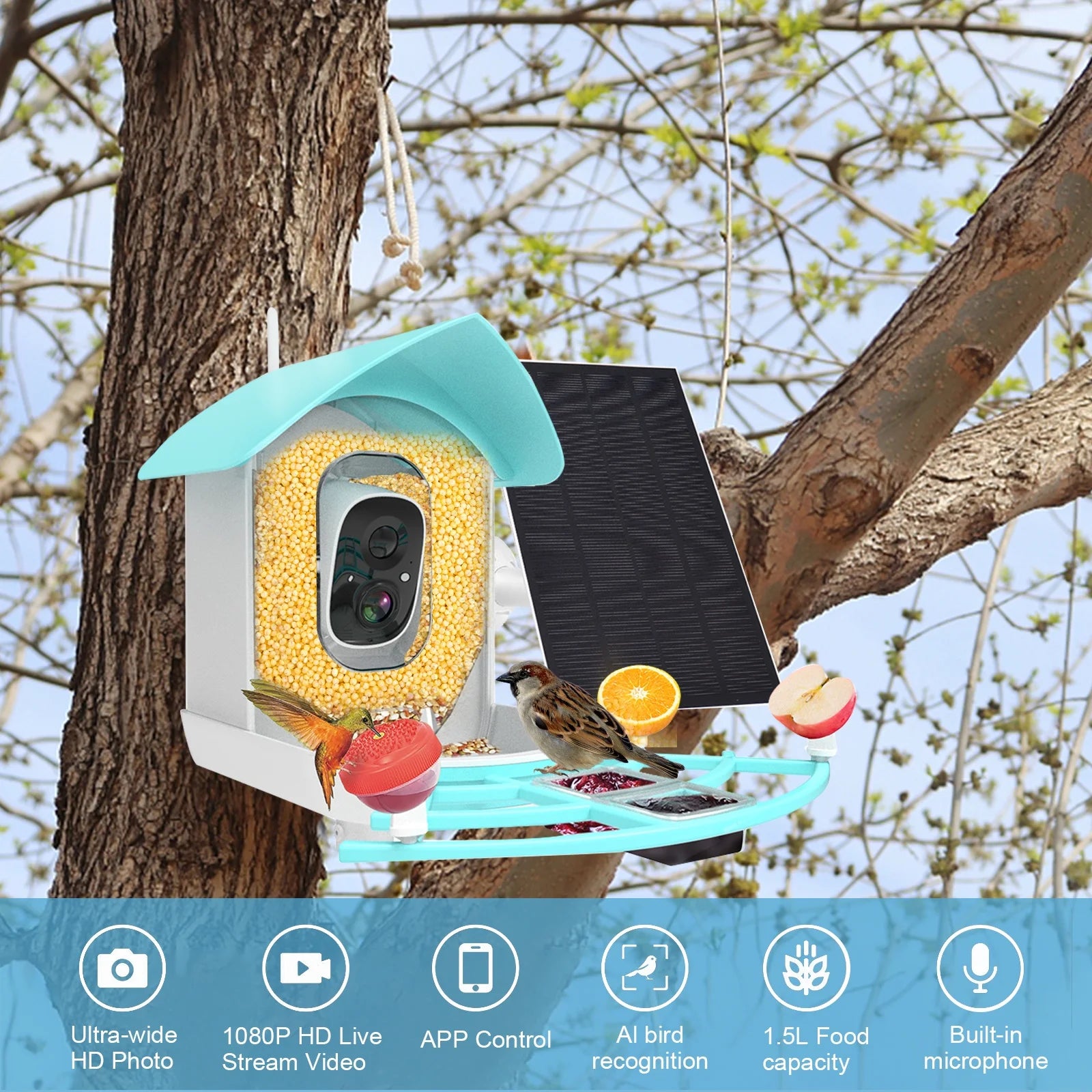 Smart Bird Feeder with Camera, Solar Powered, AI Bird Recognition O61781