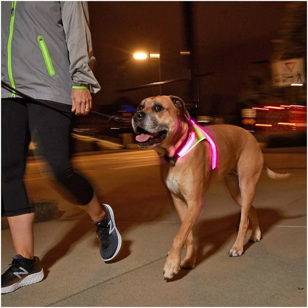 Reflective LED Dog Harness - XL M508