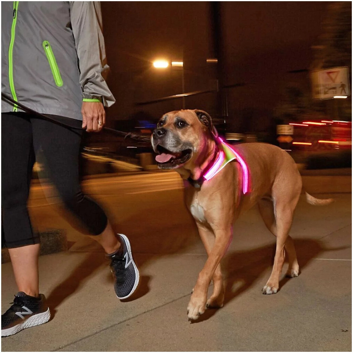 Reflective LED Dog Harness - XL M508
