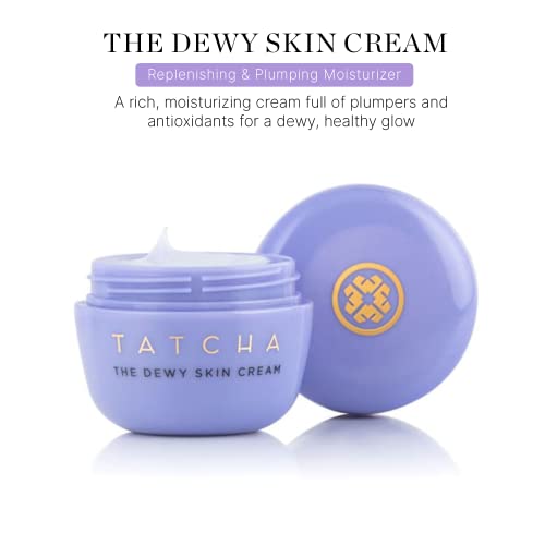 Dewy Skin Cream: Rich Hydrating Face Moisturizer D1913