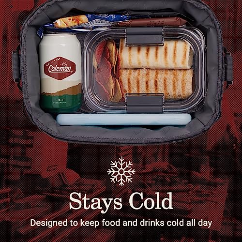 Insulated Soft Cooler Lunchbox, 24 Can Capacity, Durable Outdoor Use H935