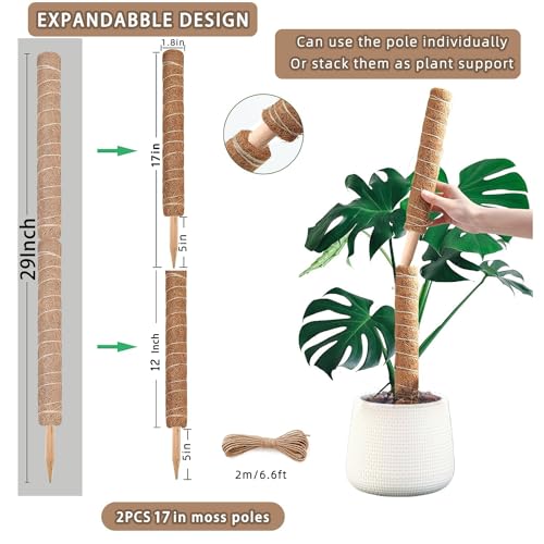 Moss Pole for Climbing Plants, 2 Pack 17 Inch, Indoor Plant Support Stakes W995559
