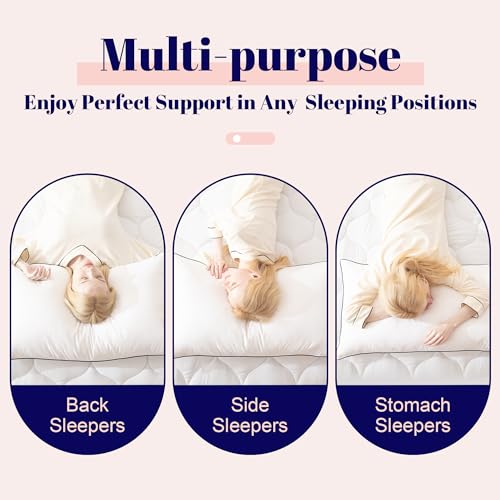 Goose Feather and Down Bed Pillow, King Size, 2 Pack O139