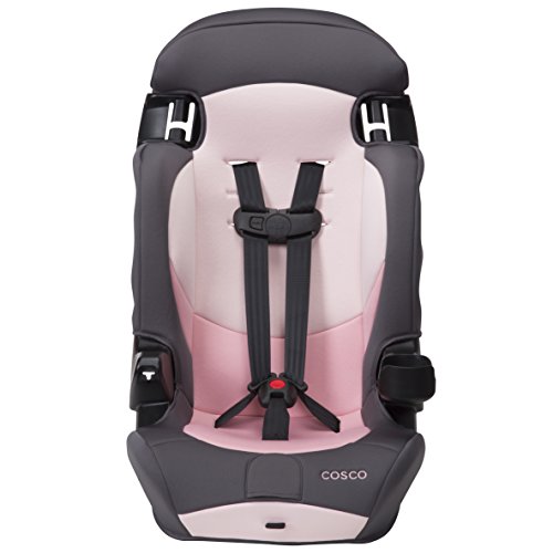 2-in-1 Booster Car Seat, Dusk P433