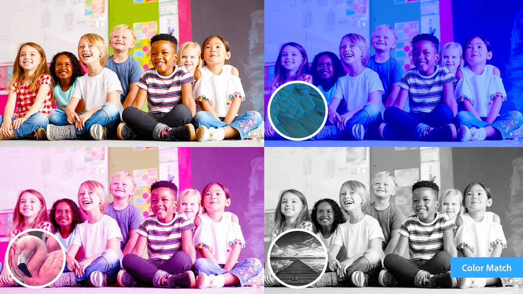 Photoshop Elements 2024 & Premiere Elements 2024 for Windows U619