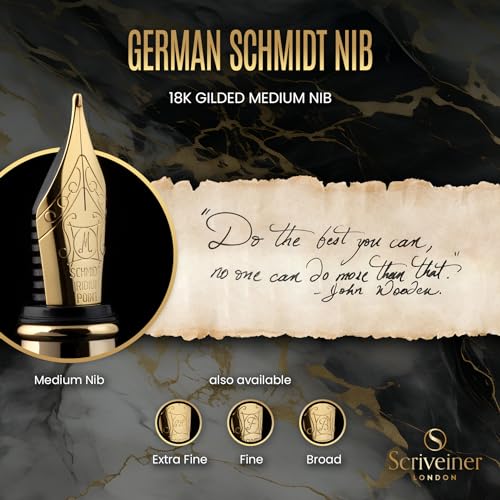 Luxury Fountain Pen with Chrome Finish, Medium Nib, Gift Set Z27727