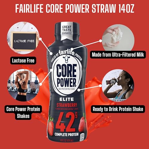 High Protein Chocolate Milk Shake, 14 Fl Oz (Pack of 12) with Key Chain R128