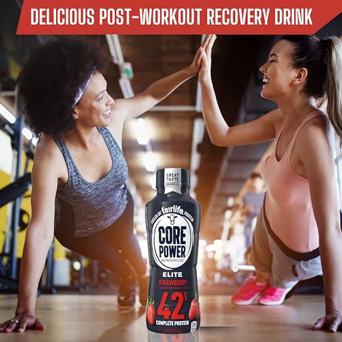 High Protein Chocolate Milk Shake, 14 Fl Oz (Pack of 12) with Key Chain R128