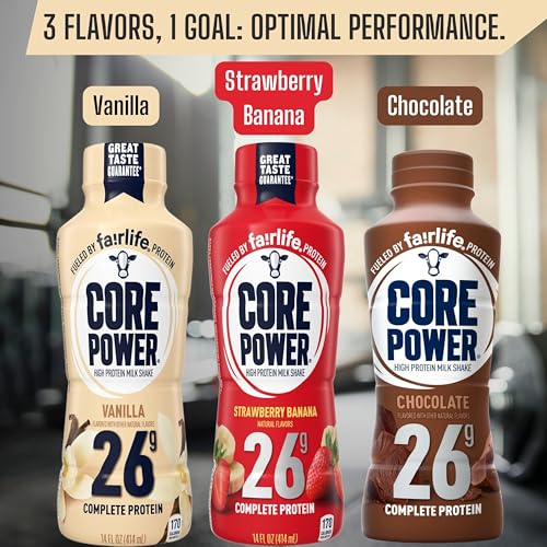 Protein Shakes for Workout Recovery, Chocolate, 14 Fl Oz (Pack of 12) with Key Chain Y4227
