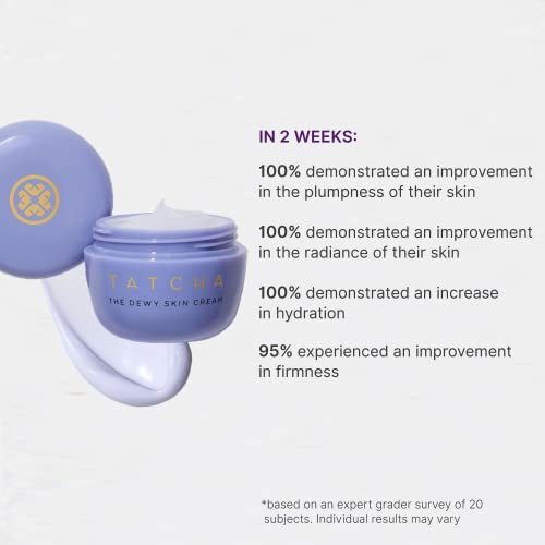 Dewy Skin Cream: Rich Hydrating Face Moisturizer D1913