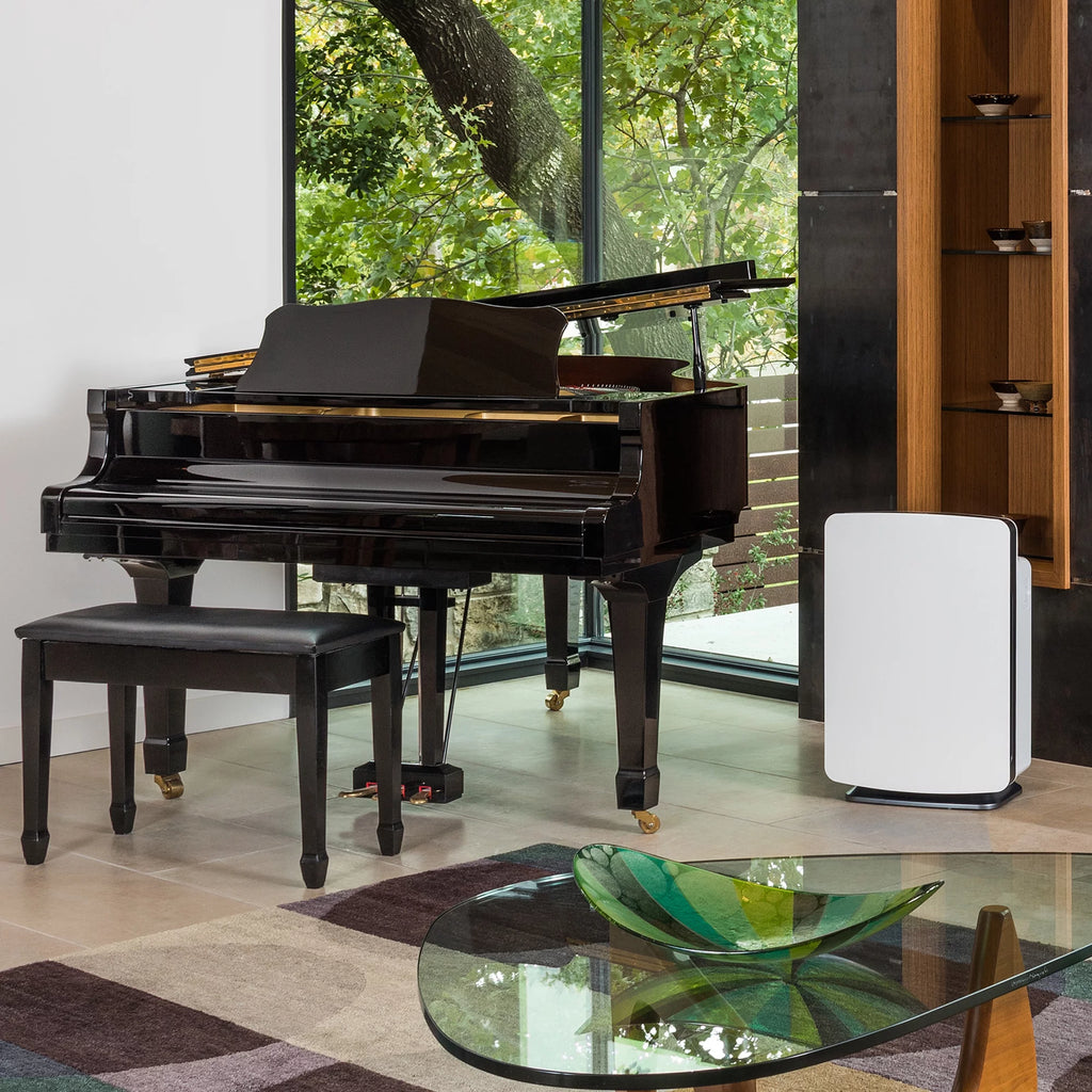 Air Purifier with True HEPA Filter for Allergens, Dust, Mold, Germs and Odors E116