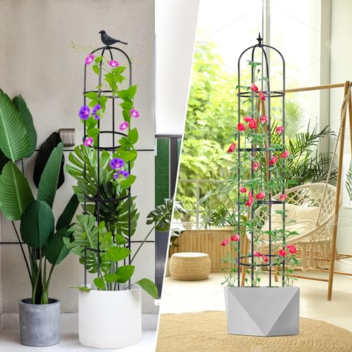 Garden Obelisk Trellis for Climbing Plants, 6ft, Indoor and Outdoor Y75654