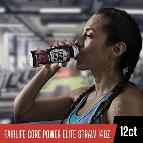 High Protein Chocolate Milk Shake, 14 Fl Oz (Pack of 12) with Key Chain R128