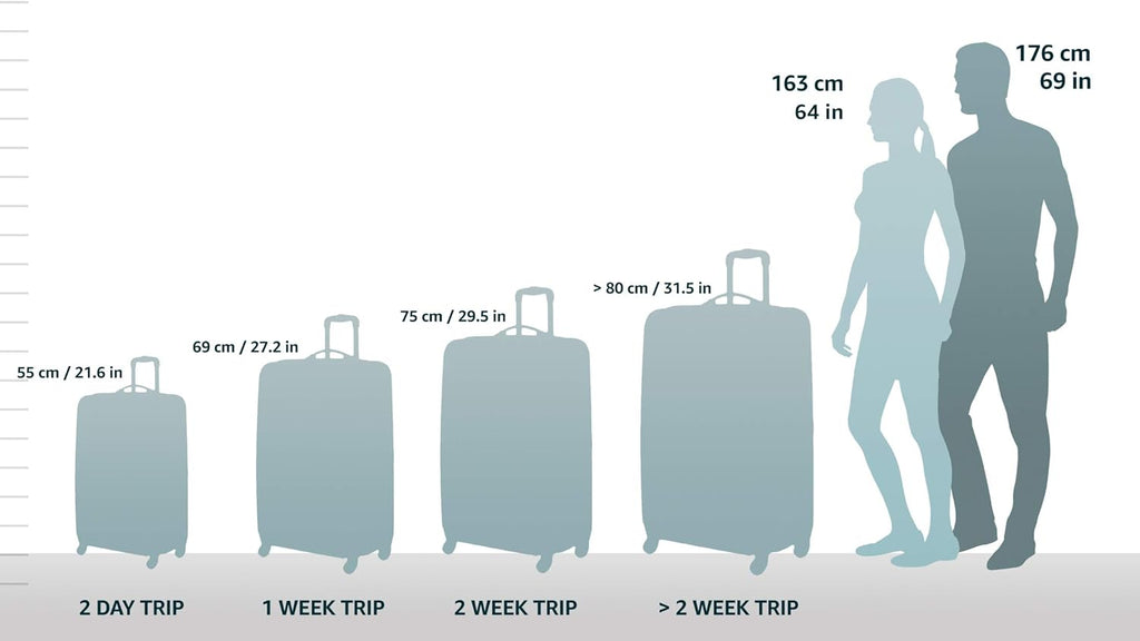 Hardside Expandable Spinner Carry-On Luggage, 20 Inch B3796