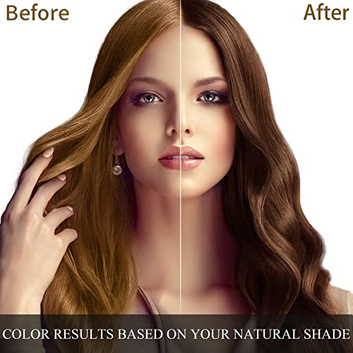 Dark Brown Hair Dye Shampoo 3 in 1 for Grey Hair, Herbal Natural Plant Color, 500ML Q435223