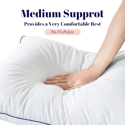 Goose Feather and Down Bed Pillow, King Size, 2 Pack O139