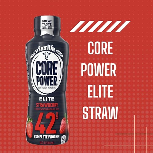 High Protein Chocolate Milk Shake, 14 Fl Oz (Pack of 12) with Key Chain R128