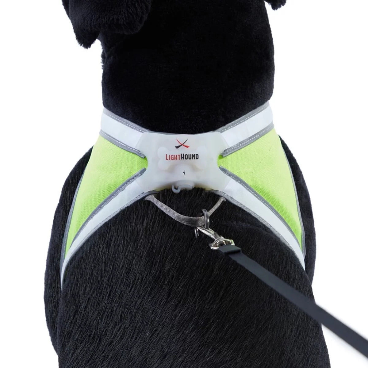 Reflective LED Dog Harness - XL M508