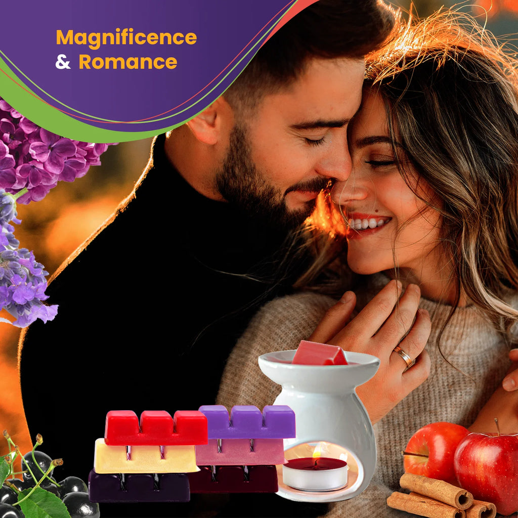Scented Wax Melts Variety Collection I2432