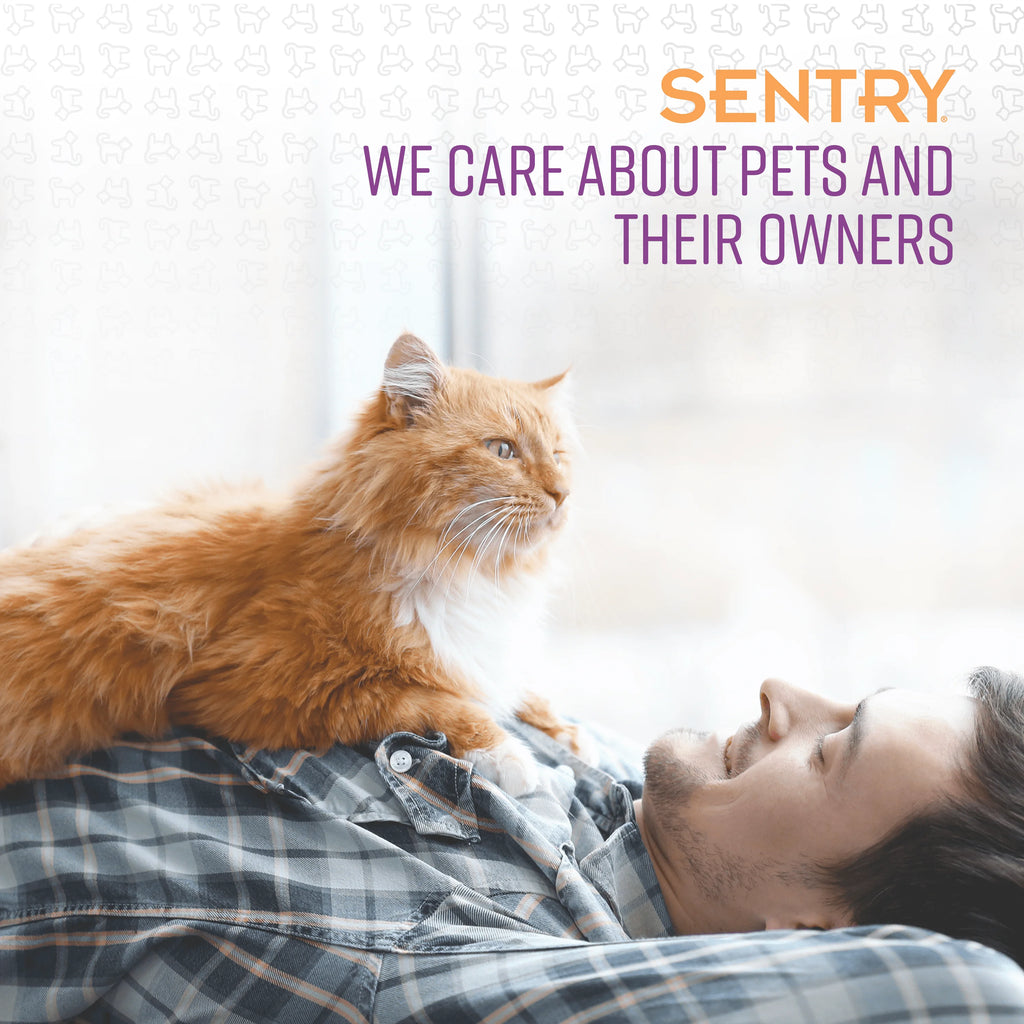 Calming Spray for Cats, 1.62 fl oz C926569