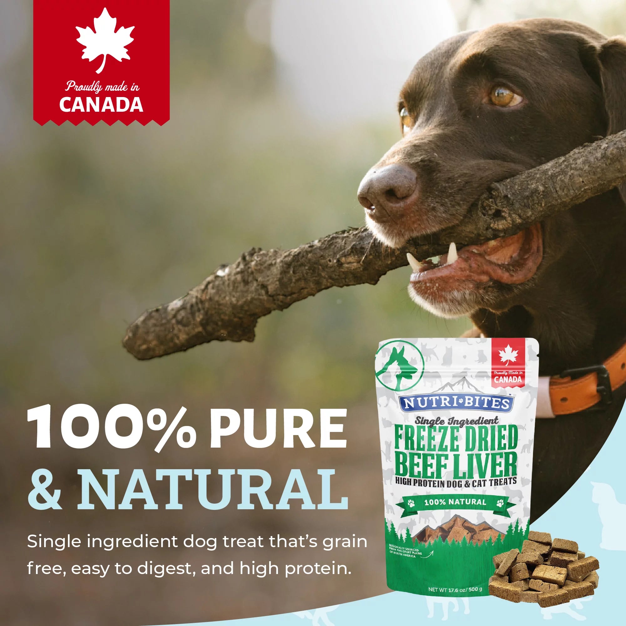 Freeze Dried Beef Liver Dog and Cat Treats, 3 Pack D6235