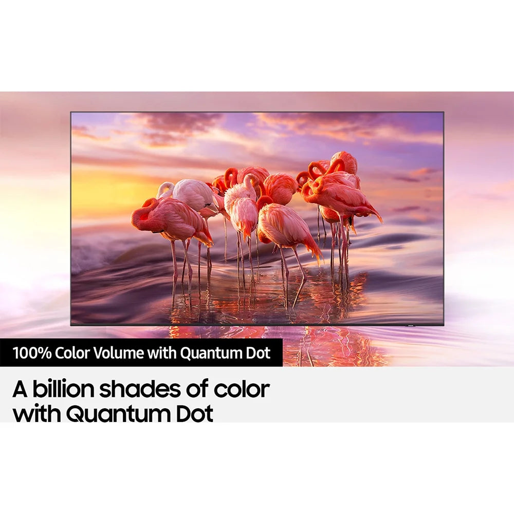 55" QLED 4K Smart TV N787695