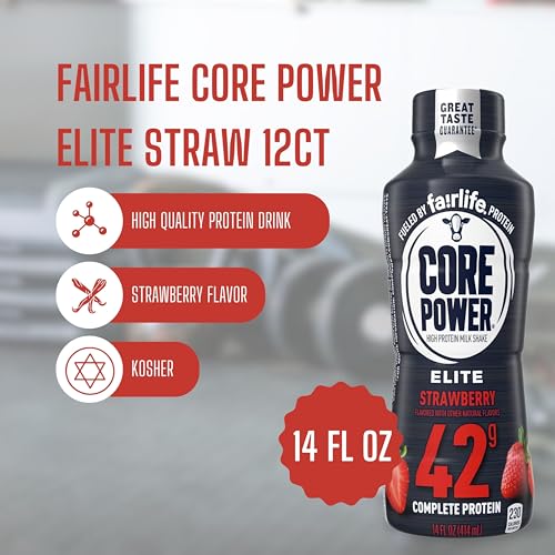 High Protein Chocolate Milk Shake, 14 Fl Oz (Pack of 12) with Key Chain R128