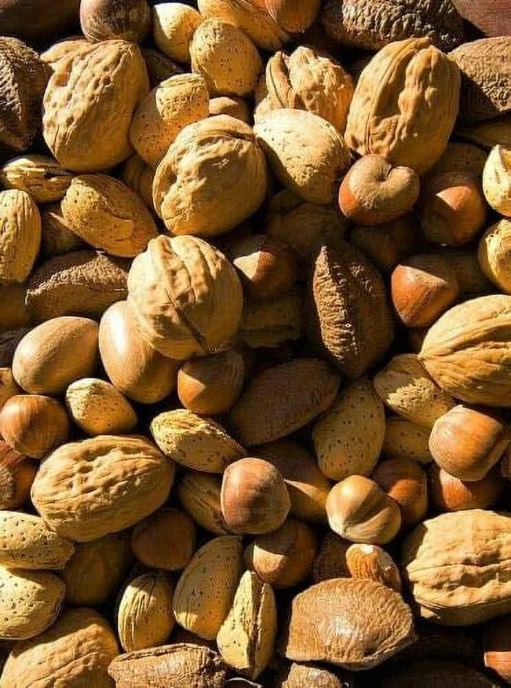 Raw In-shell Mixed Nuts 4 LB T8851