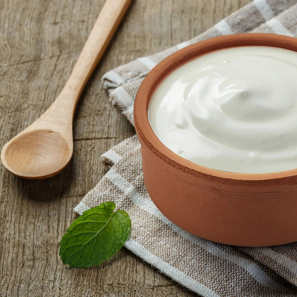 Glazed Terracotta Yogurt Pot, 2.5 qt P215860