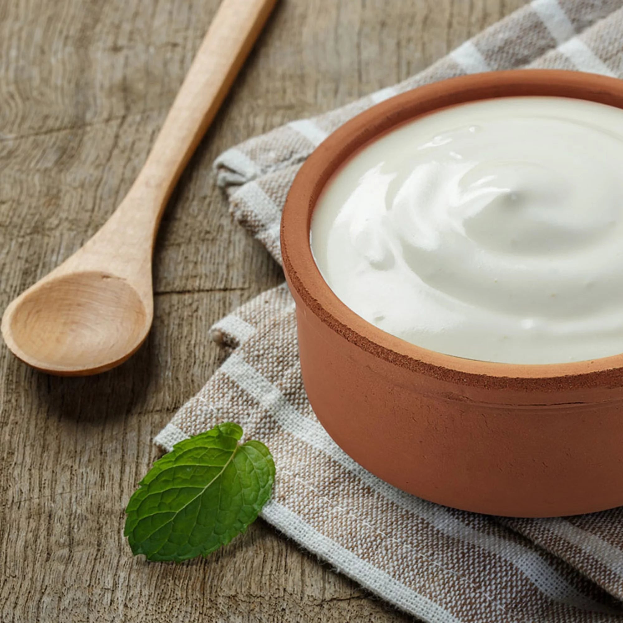 Glazed Terracotta Yogurt Pot, 2.5 qt P215860